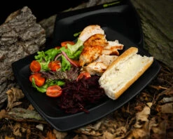 RidgeMonkey SQ DLX Standard Plate Set -Outwell Zone DSC09417