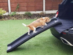 Streetwize Folding Pet Ramp